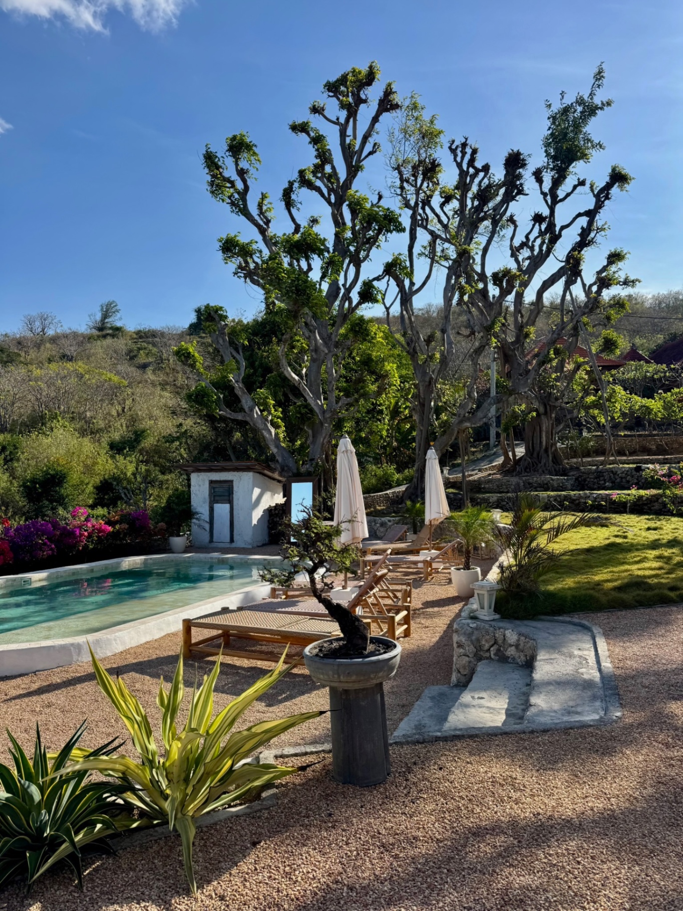 Yoga, pool, sea breeze